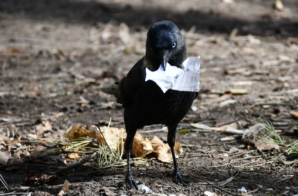 Photograph by Андрей Жуков