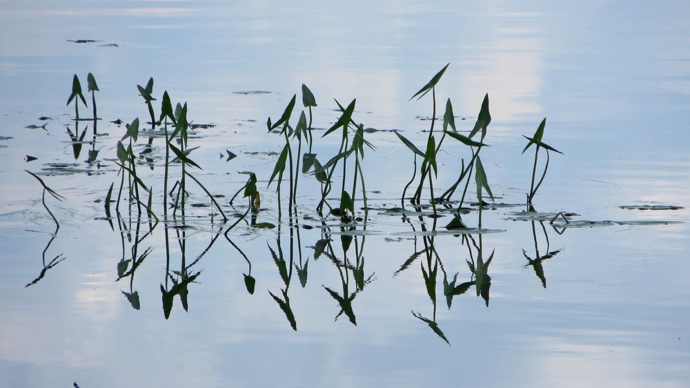 Photograph by Мигун Александра