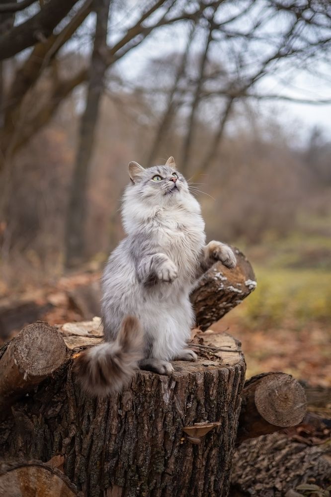 Photograph by Елена Косинова