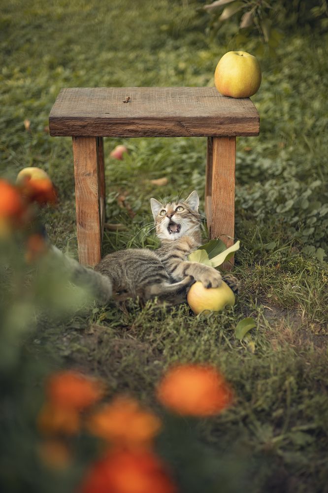 Photograph by Елена Косинова