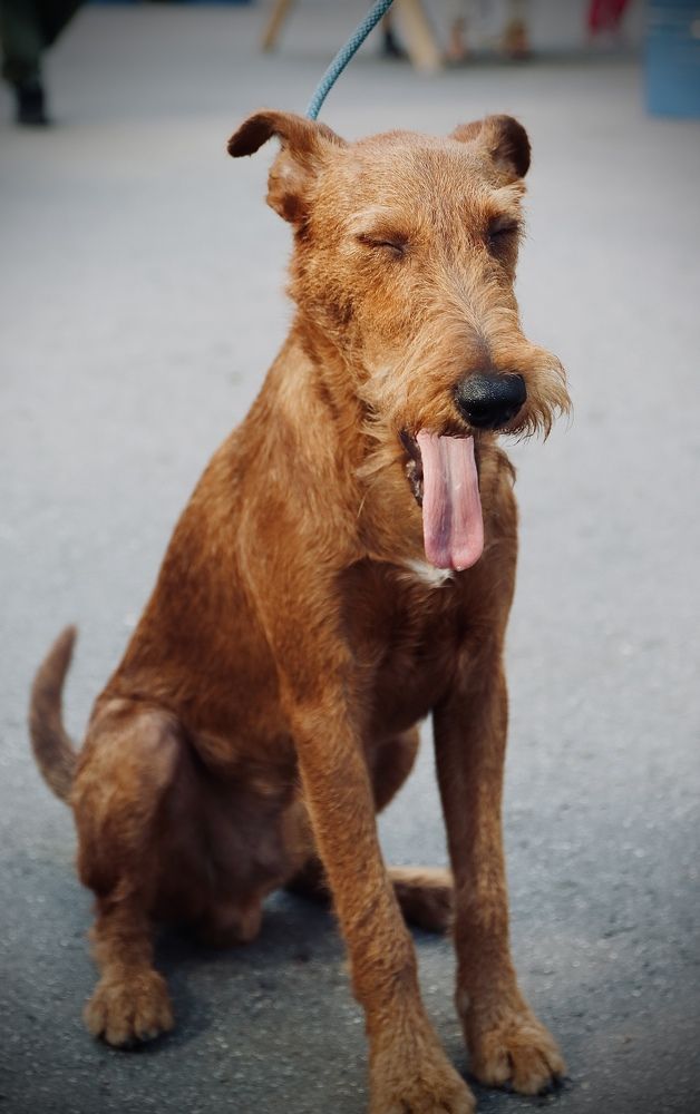 Photograph by Анна Дорофеева