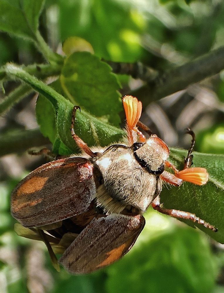Photograph by Новикова Елена Сергеевна