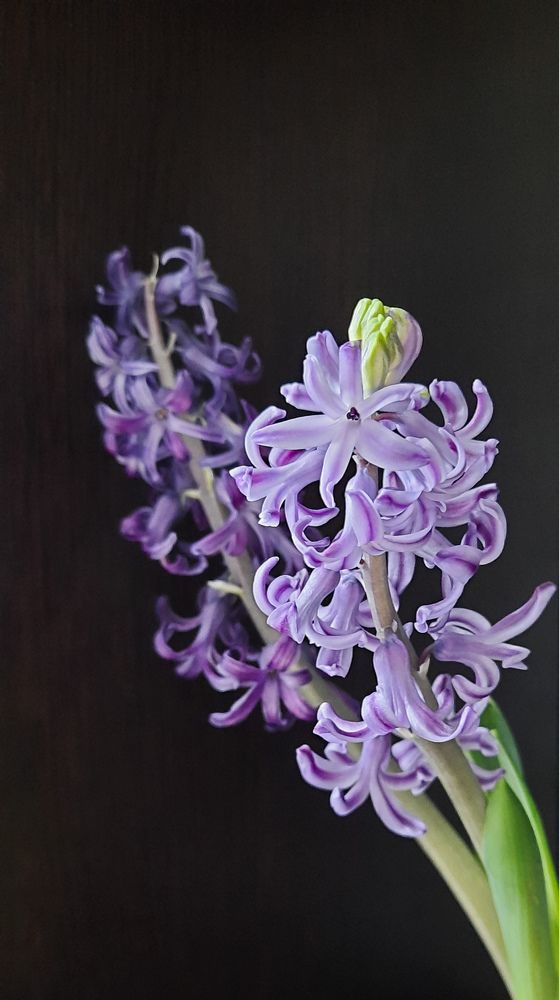 Photograph by Ольга Новоселова