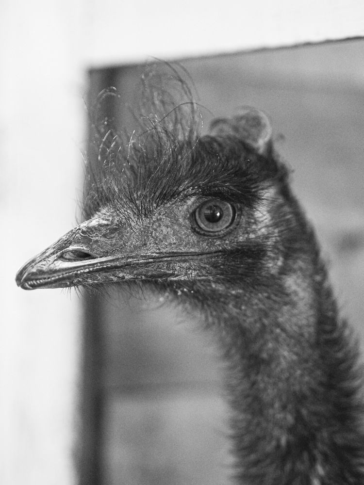 Photograph by Светлана Андреева