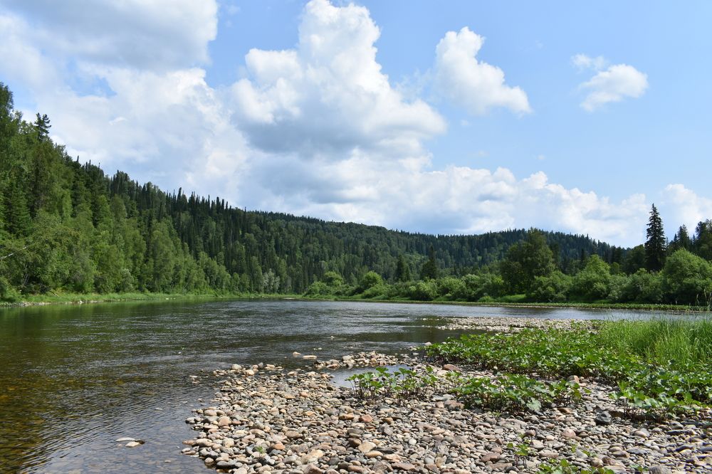 Photograph by Александр Прядко