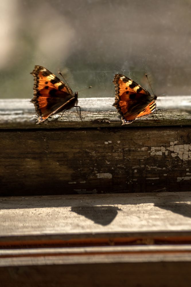 Photograph by Ольга Михайлова