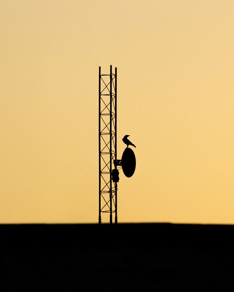 Photograph by Sahar Jafari