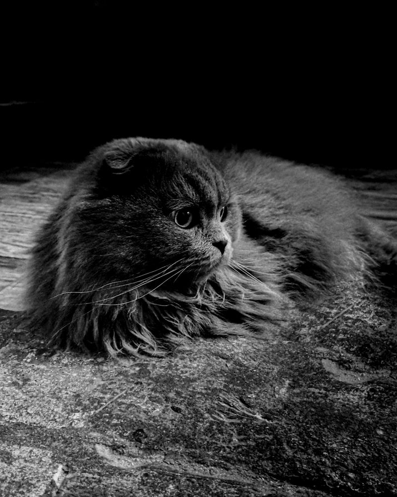 Photograph by Наталья Балабанова