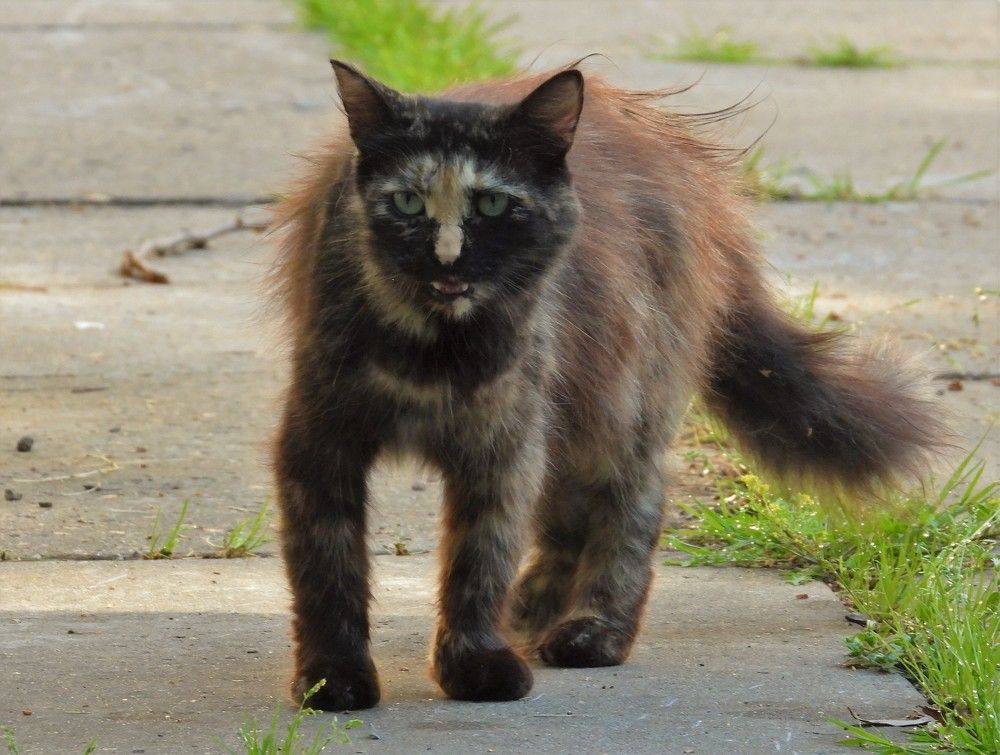 Photograph by Владимир Джерихов