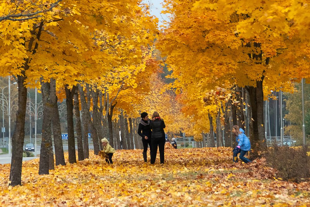 Фотография автора Aleksej Musatov