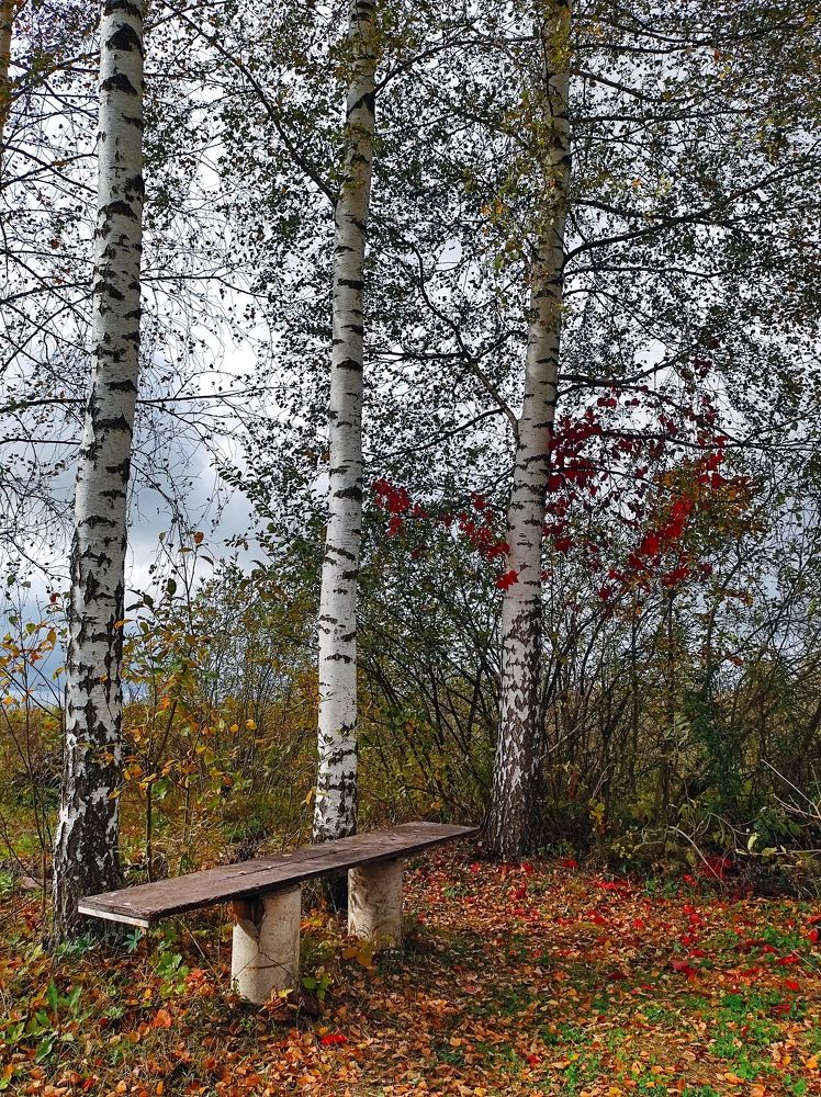 Photograph by Вячеслав Щёголев