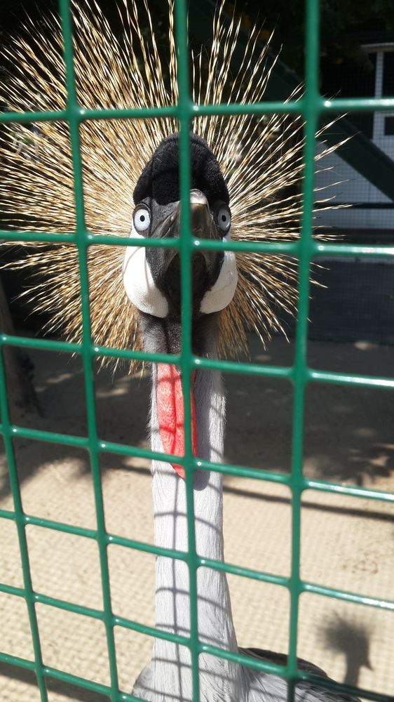 Photograph by Наталья Анисимова