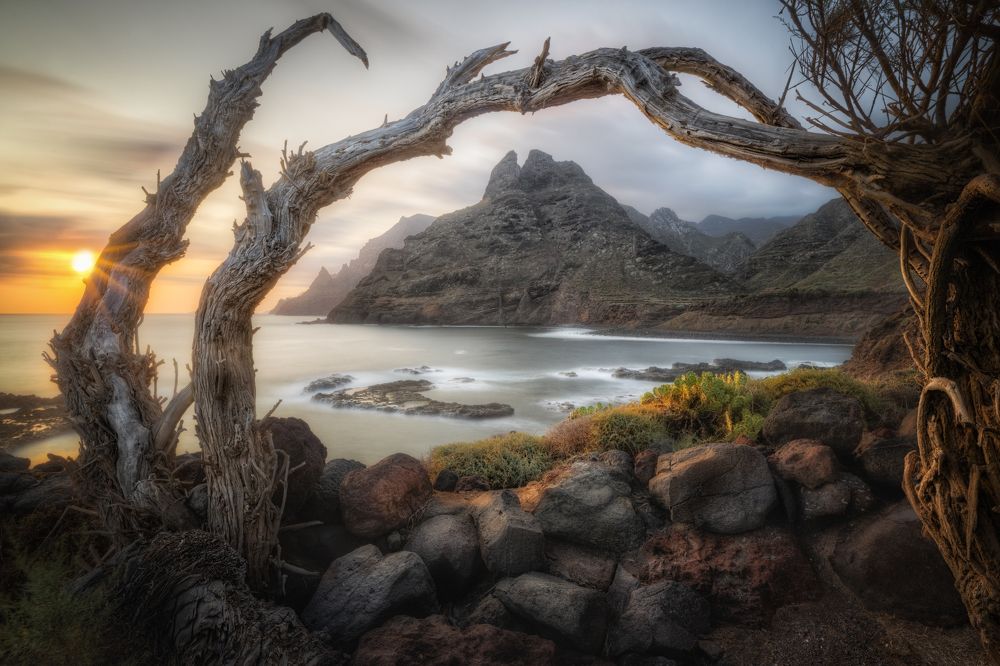 Photograph by Andrea Curzi