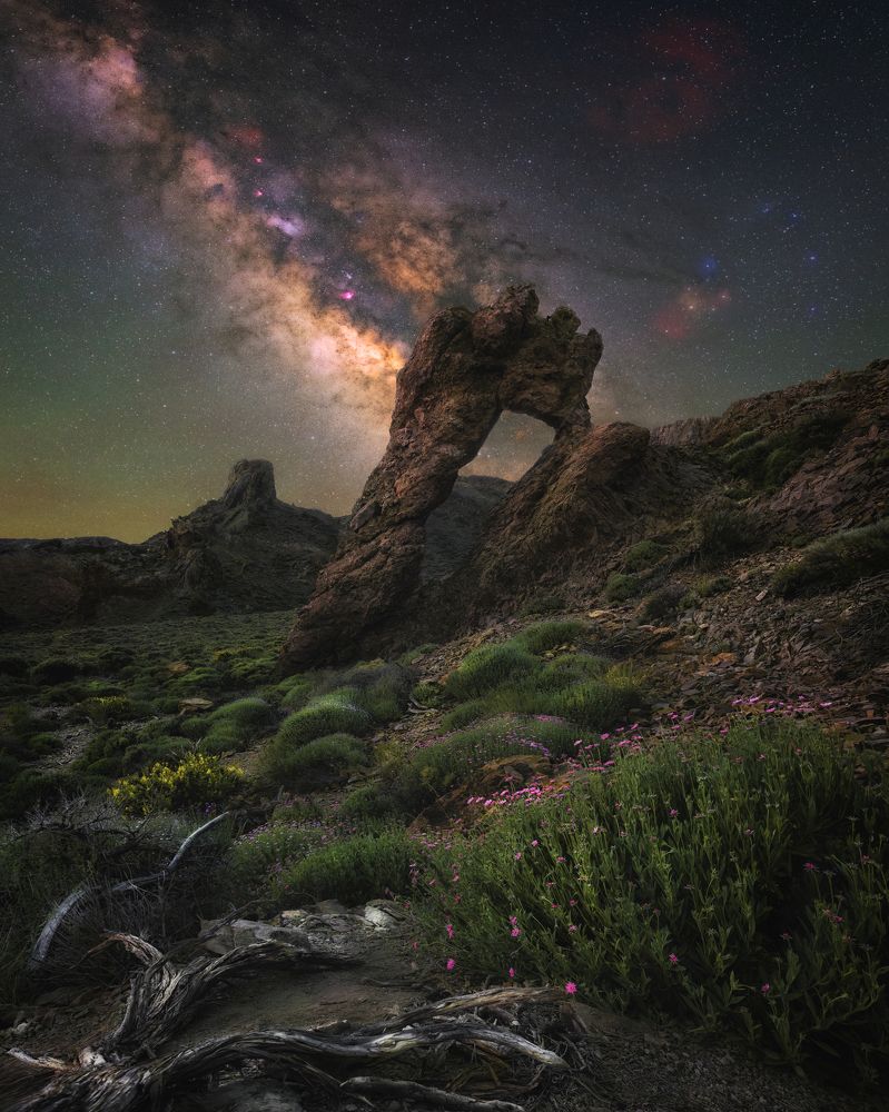 Photograph by Andrea Curzi