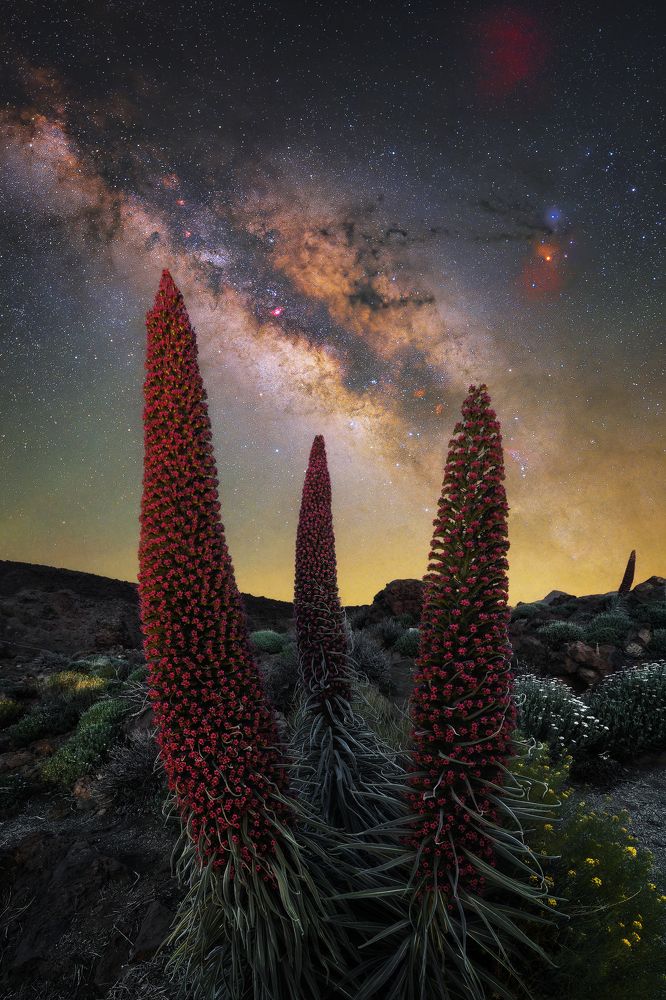 Photograph by Andrea Curzi