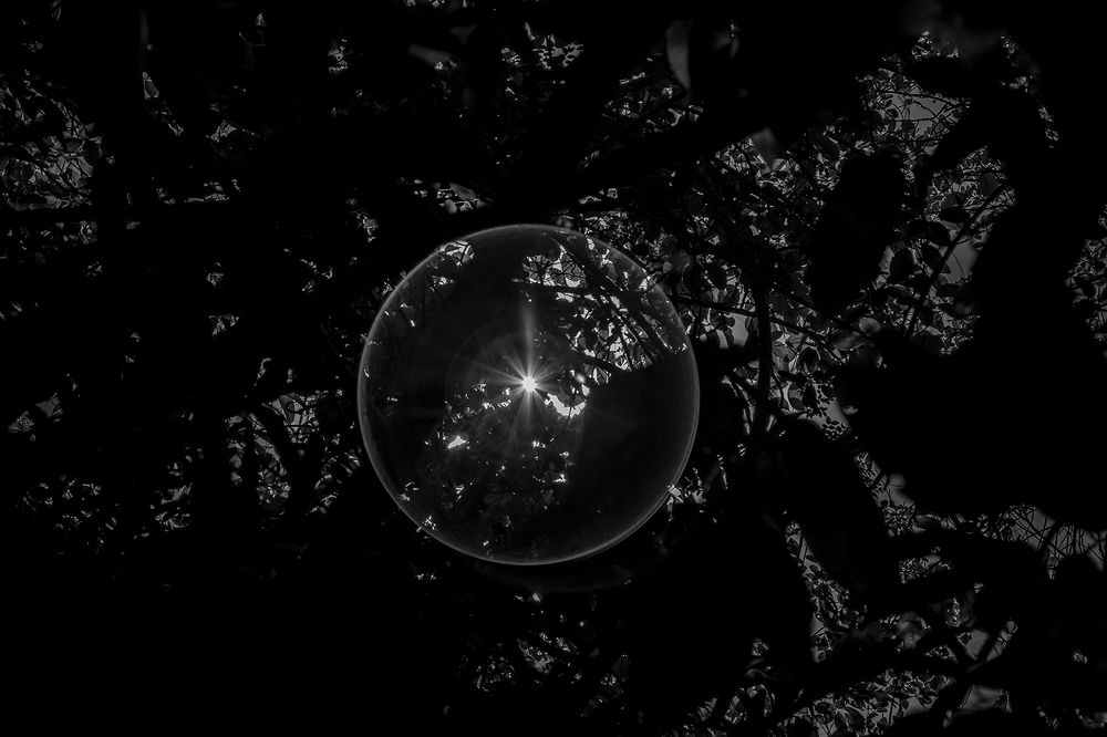 Фотография автора Laddu Sasindu Pramuditha De Silva