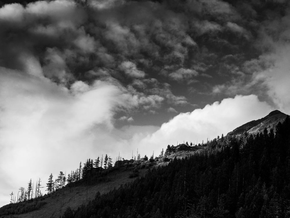 Photograph by Светлана Андреева