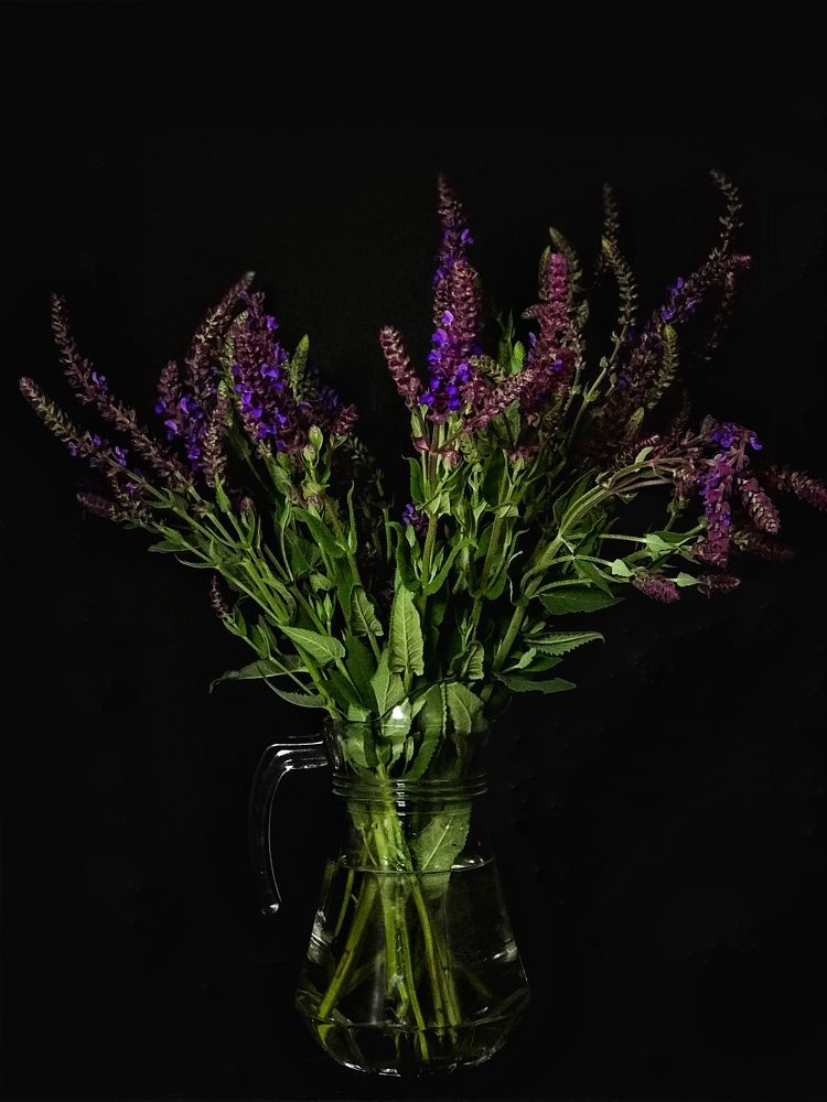 Photograph by Наталья Перерва