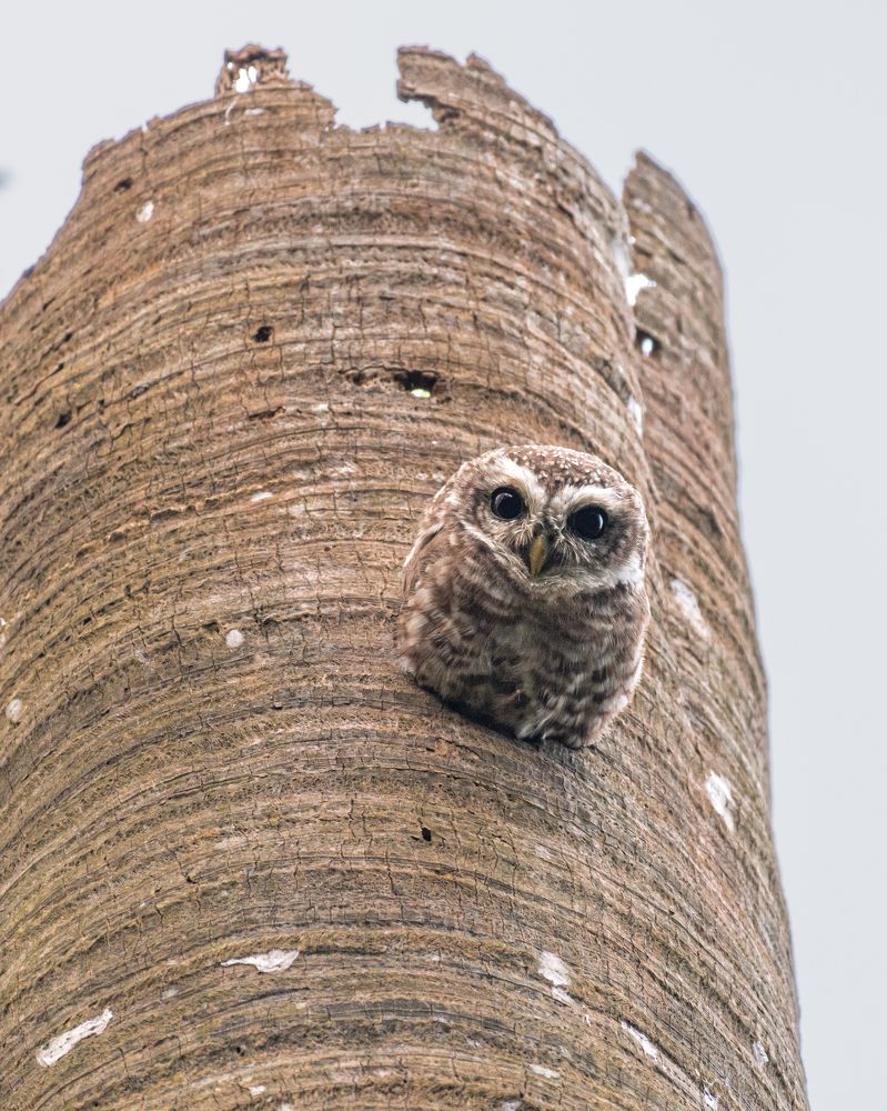 Photograph by Siddhartha Roy Choudhury