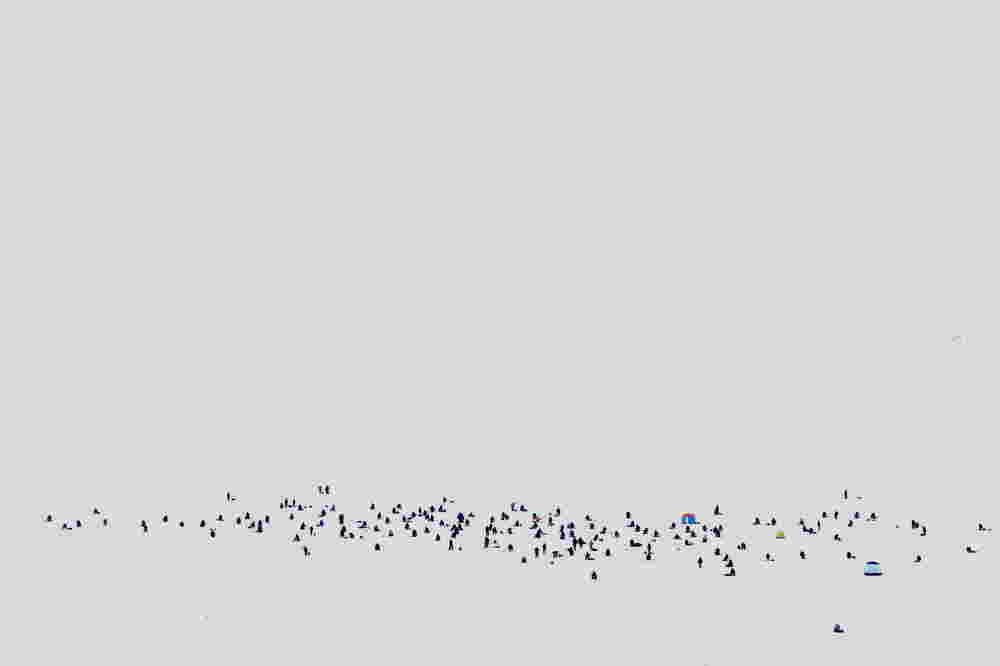 Photograph by Владимир Грибков