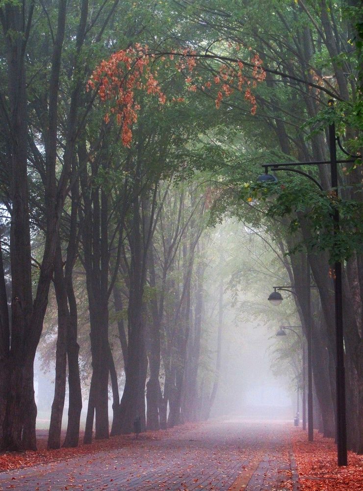 Photograph by Анастасия