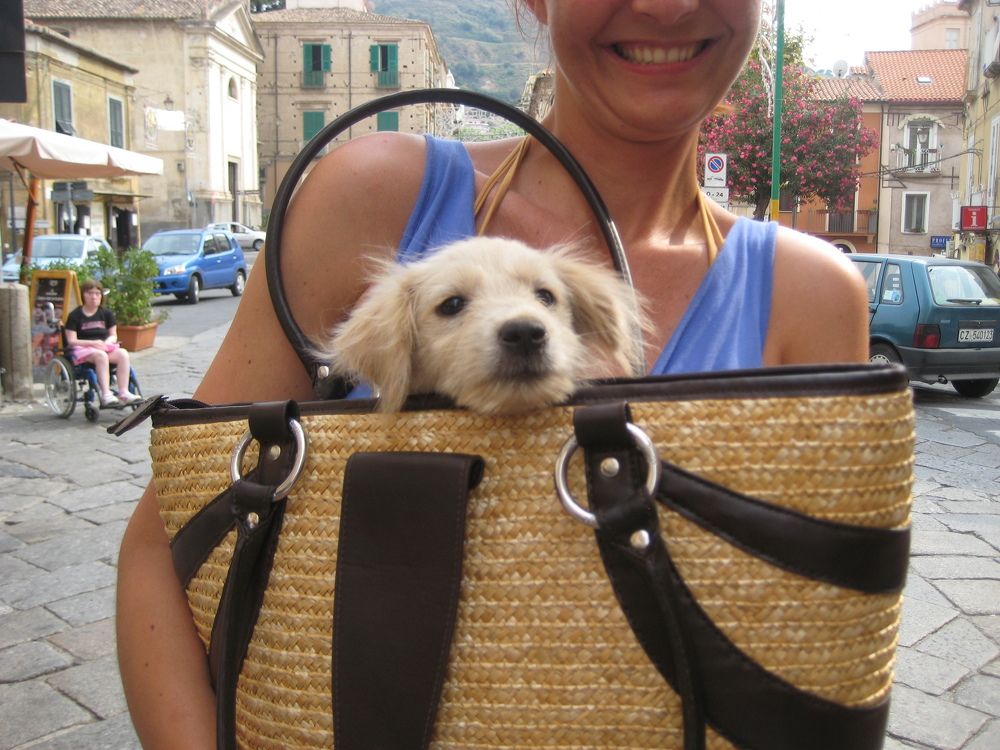 Фотография автора Елена Александрова