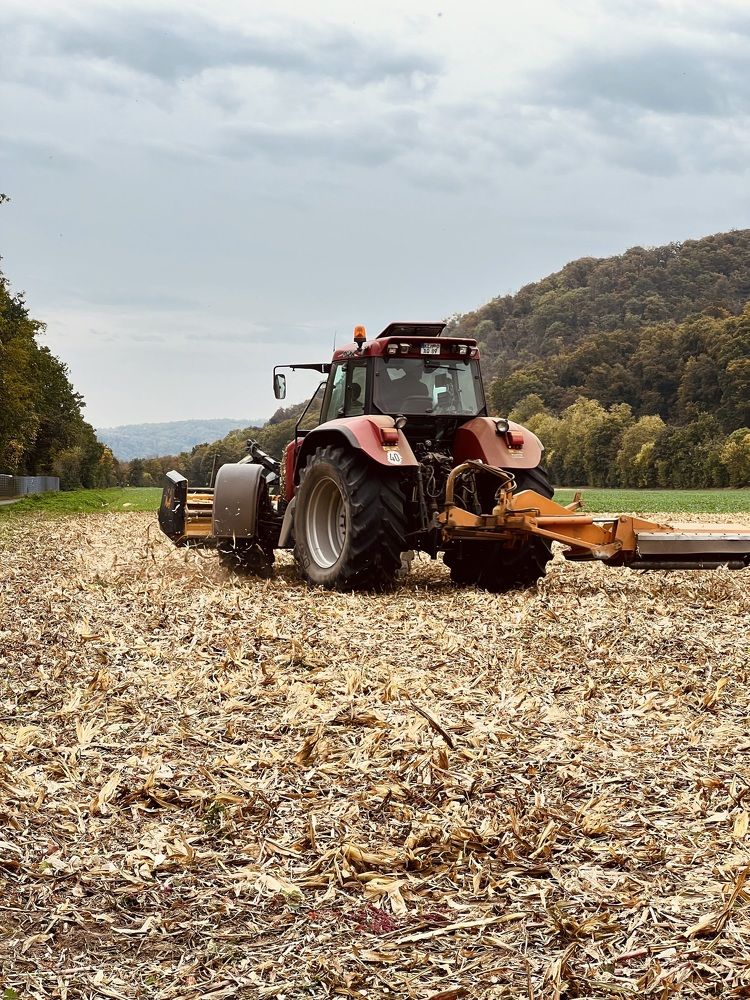 Photograph by Eugenia Schmidt