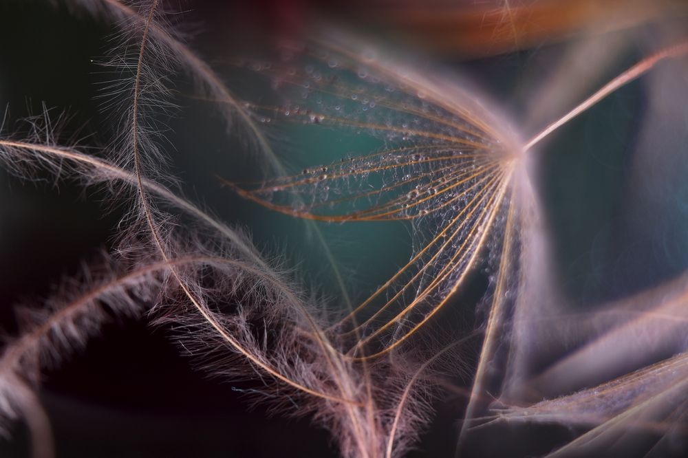 Photograph by Ирина Шипунова