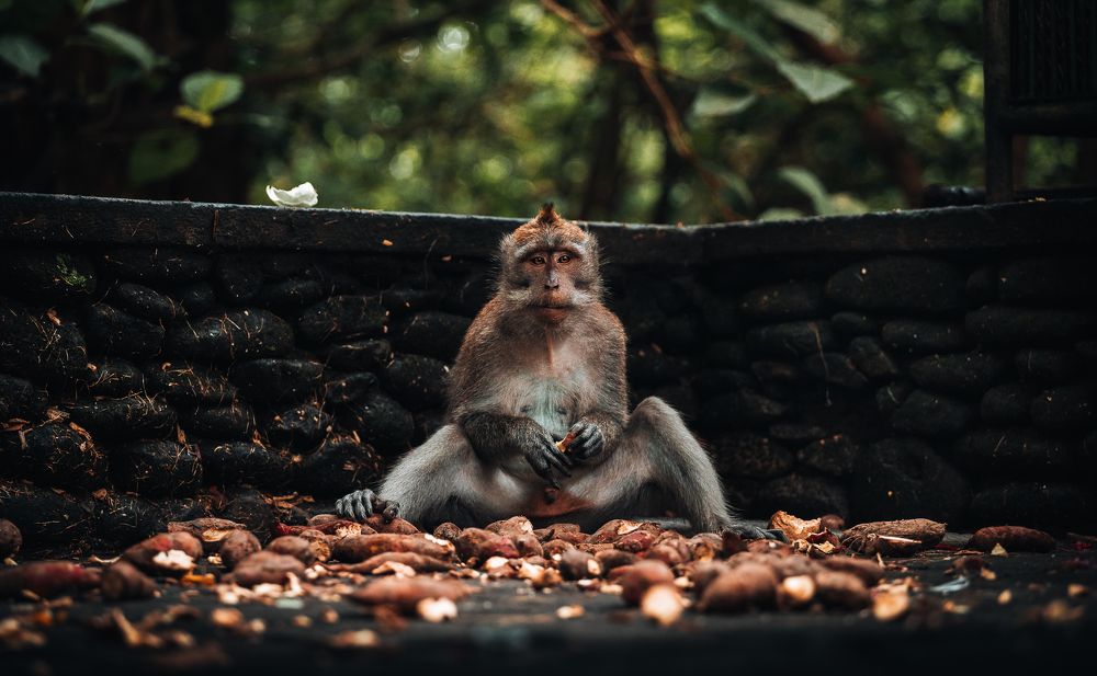 Photograph by William Rodriguez