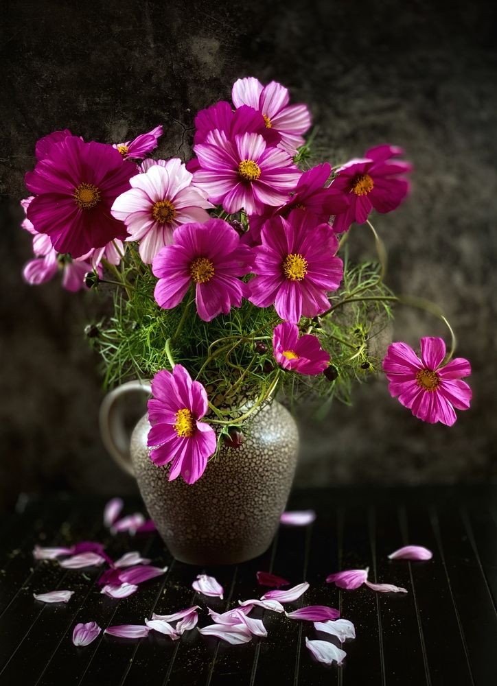 Фотография автора Evgeniya Ivanova