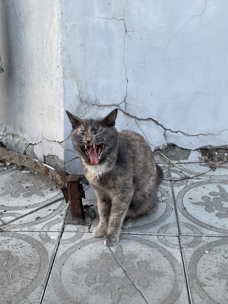 Photograph by Оксана Рачилова