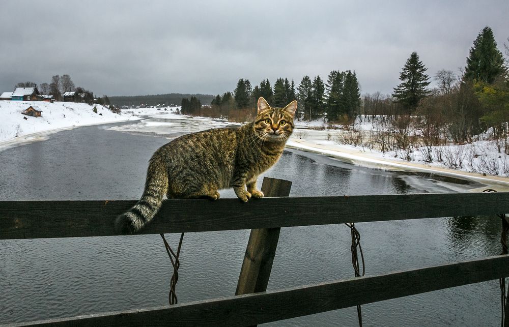 Photograph by Наталия Колтакова