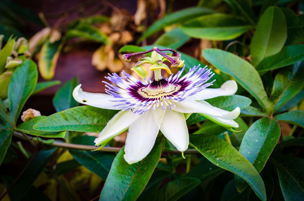 Photograph by Денис Кичев