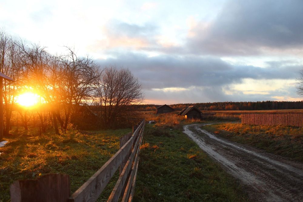 Photograph by Дарья