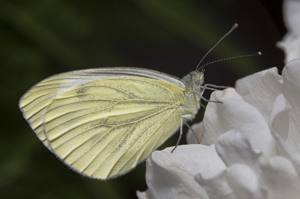 Фотография автора Марина Кулакова