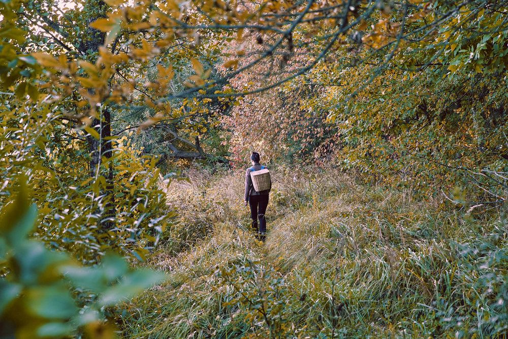 Photograph by Дмитрий Солодухин