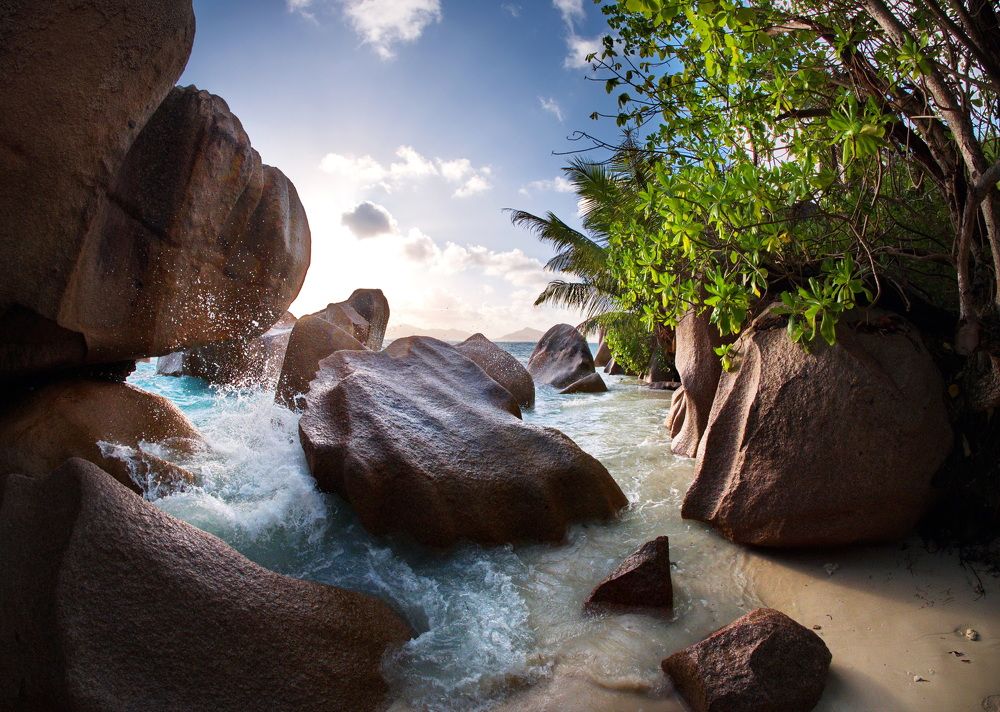 Брызги шампанского