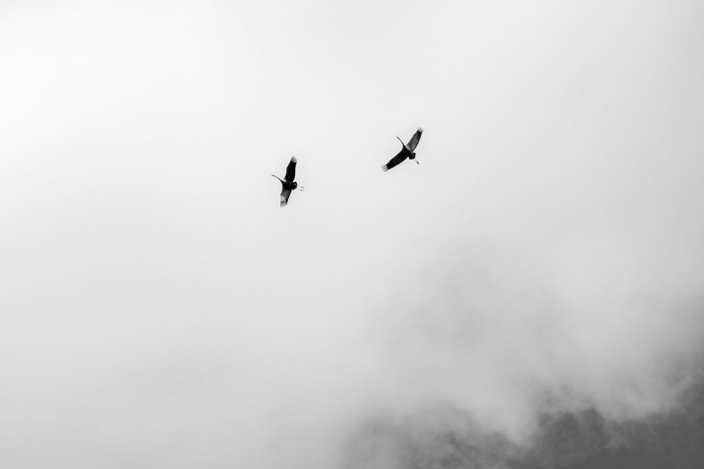 Photograph by Сергей