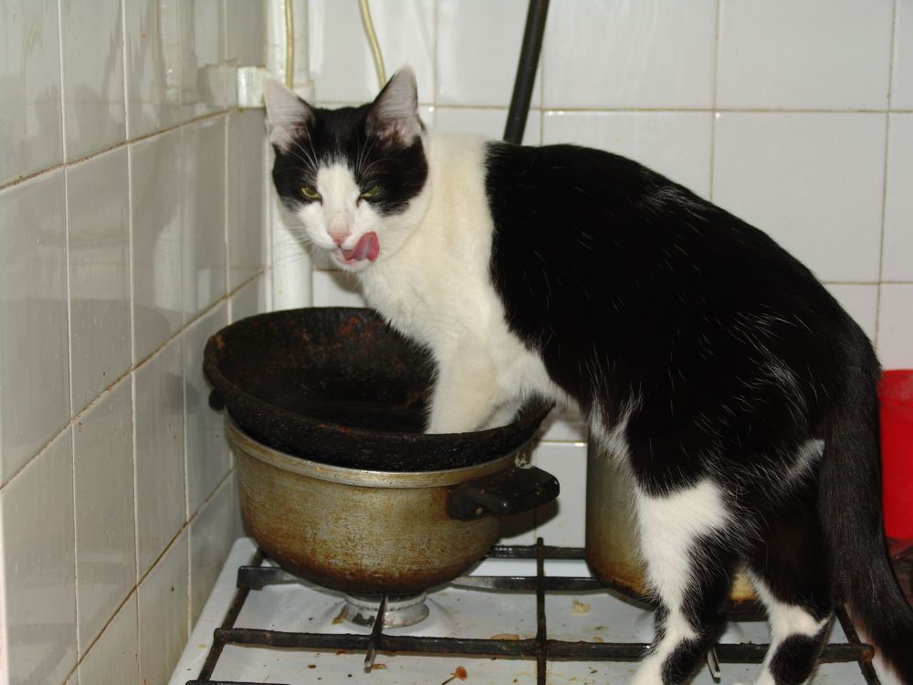 Photograph by Наталья Анисимова