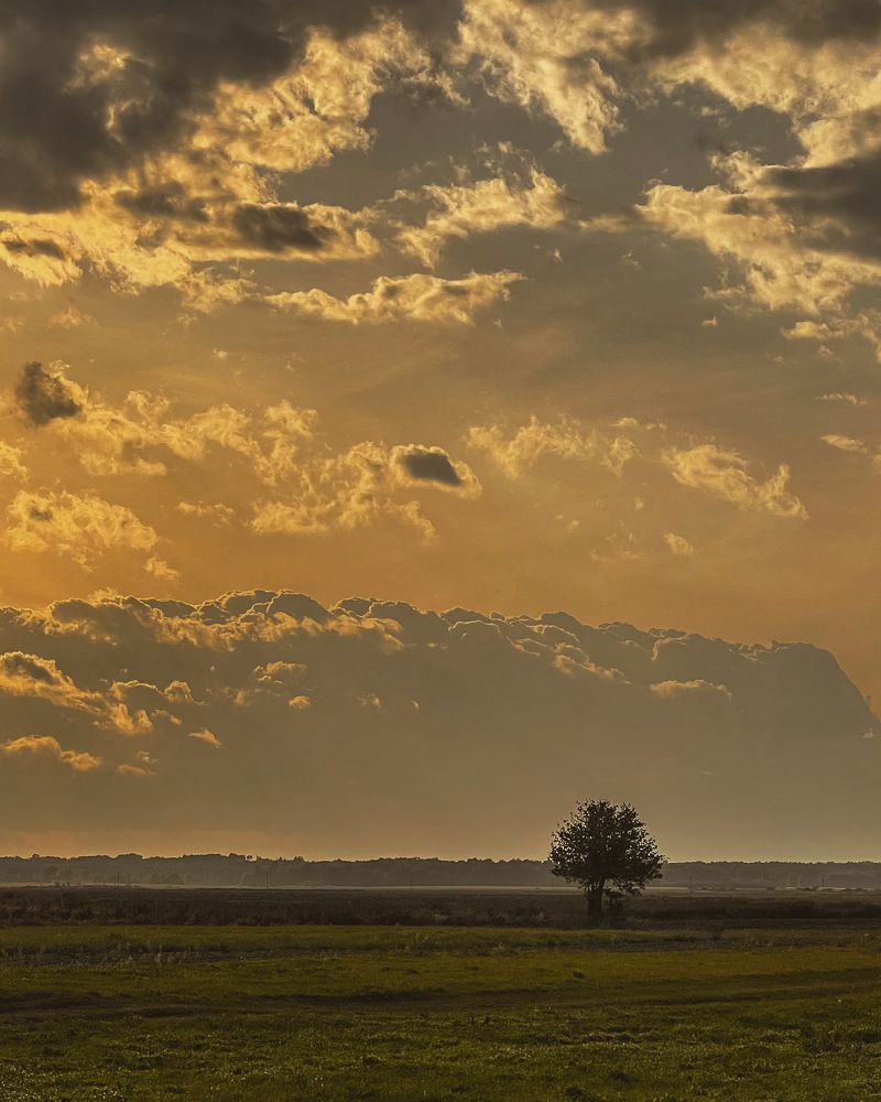 Photograph by Елена Башмакова