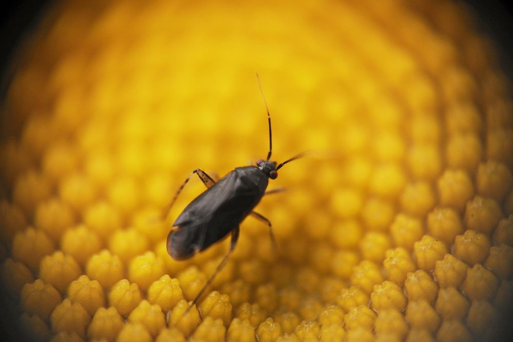 Фотография автора Юрий Кольцов