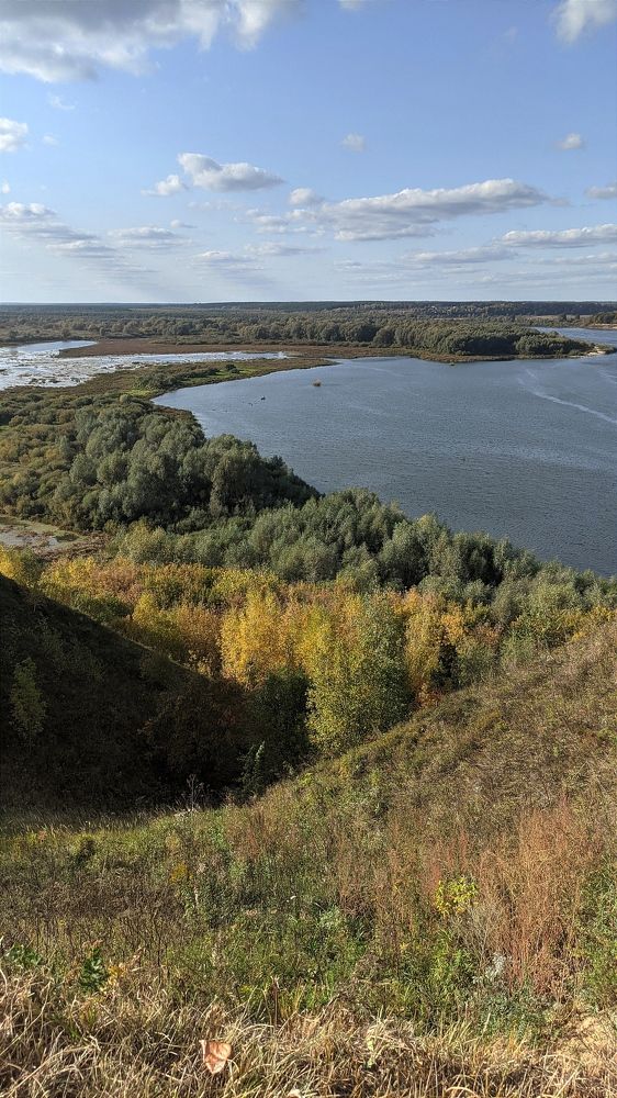 Фотография автора Васильева Ирина