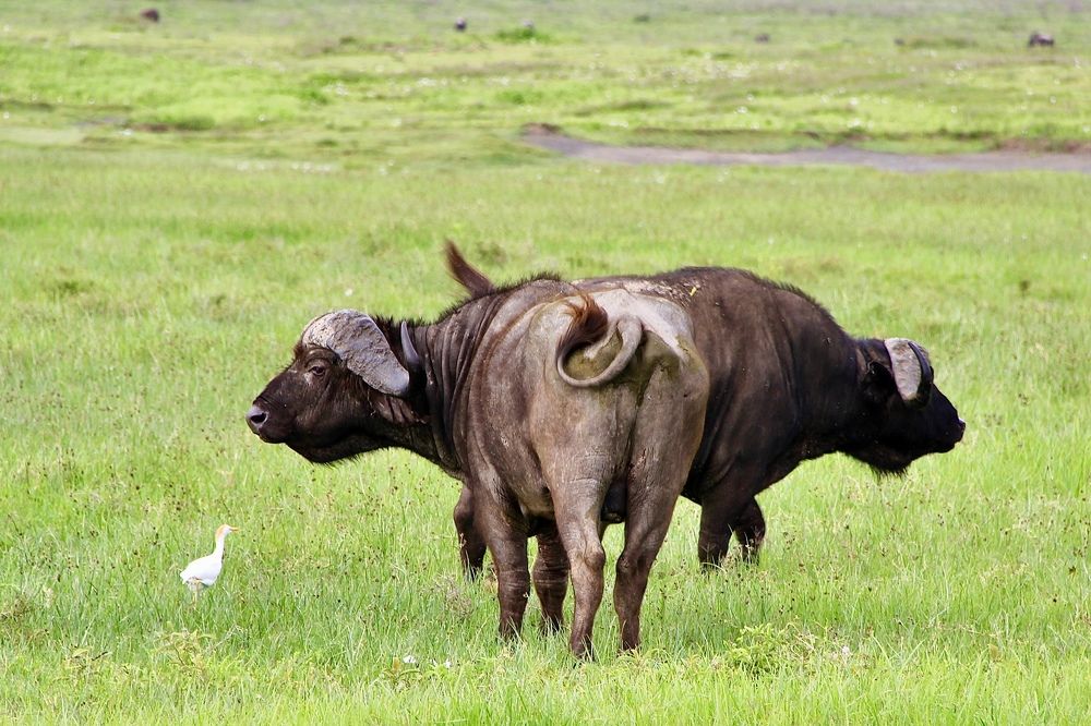 Photograph by Олег Банковский