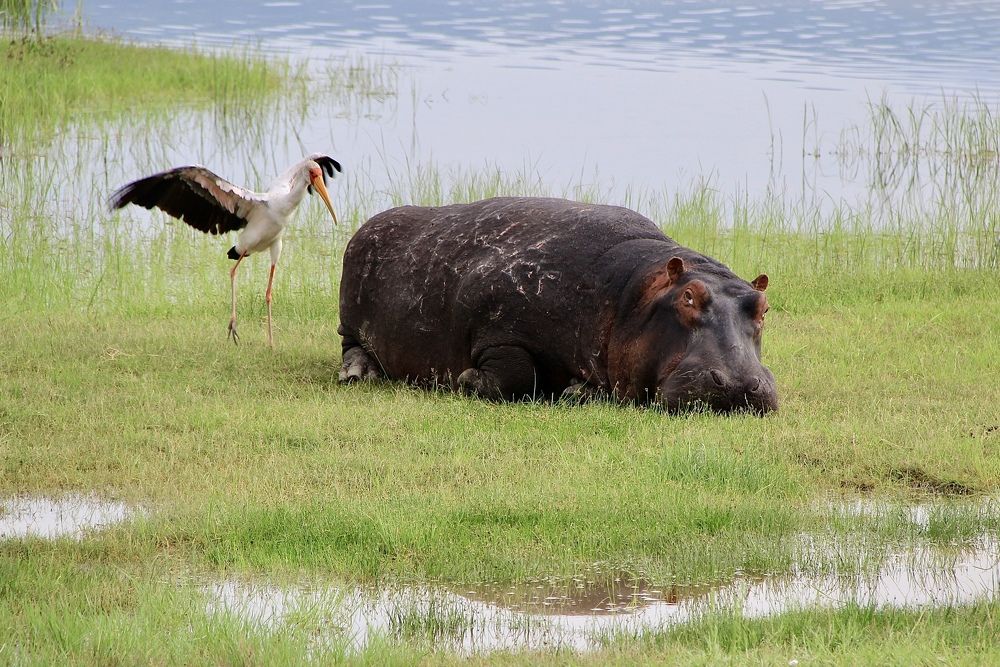Photograph by Олег Банковский