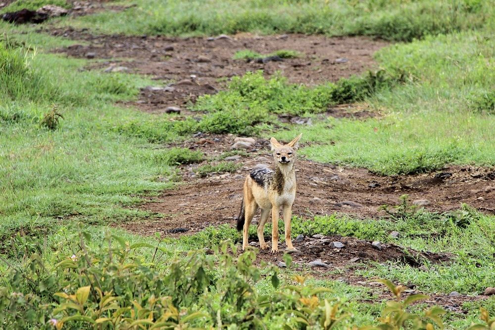 Photograph by Олег Банковский