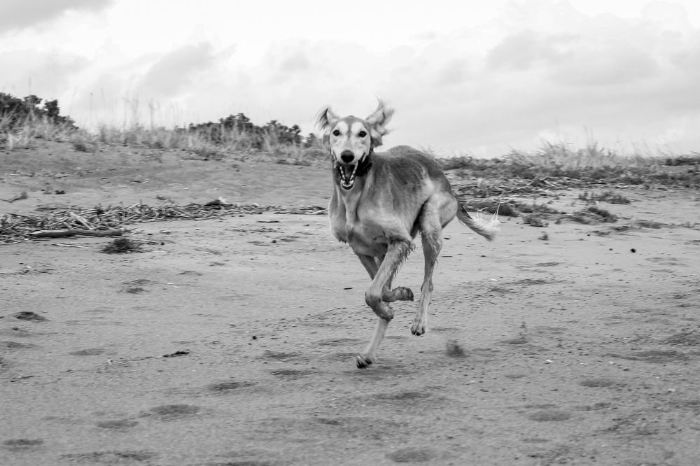 Photograph by Андрей