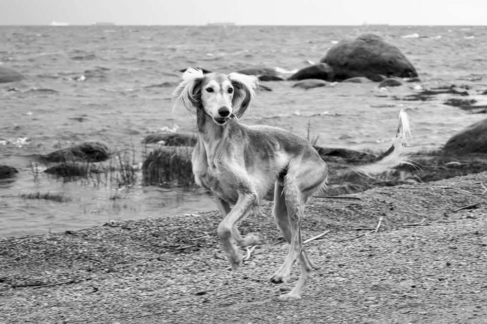 Photograph by Андрей