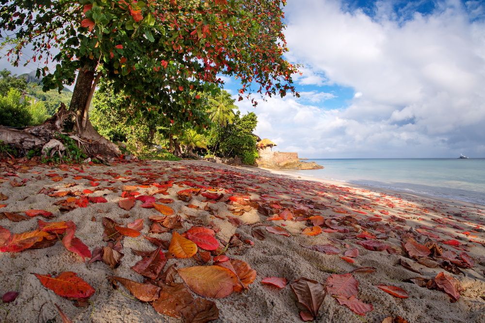 Фотография автора Юрий Кольцов