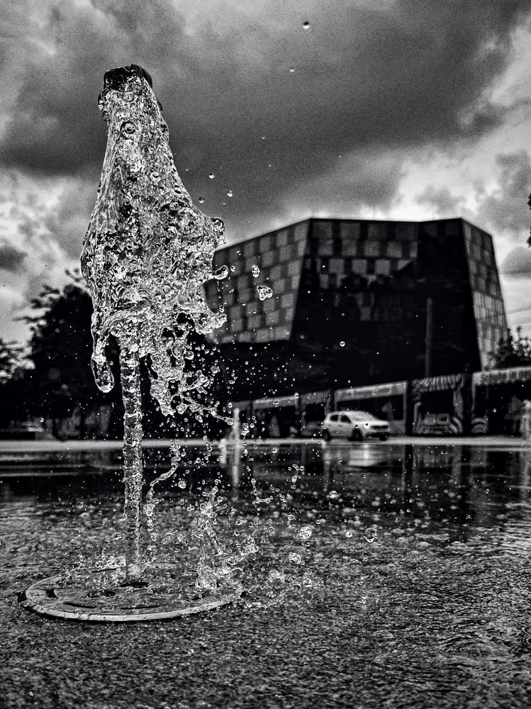 Photograph by daria eipert