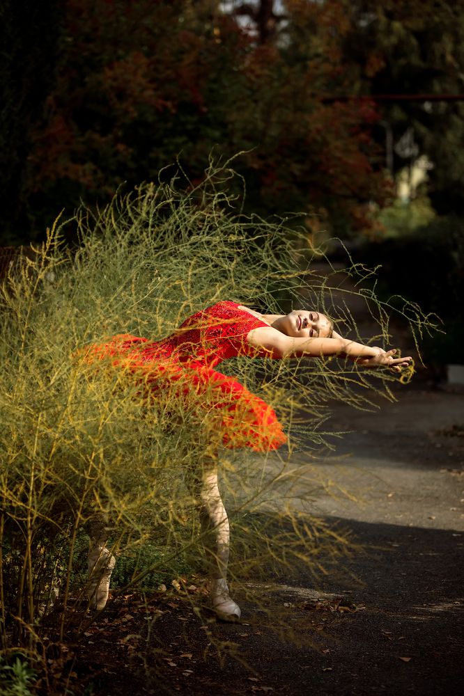 Photograph by Юлия Мартынюк